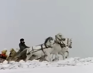 История песни «Три белых коня»